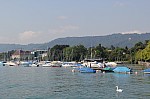 4175.jpg 4175.jpg