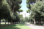6479.jpg 6479.jpg