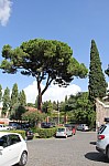 6490.jpg 6490.jpg