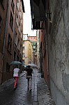 6725.jpg 6725.jpg