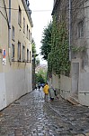 6736.jpg 6736.jpg