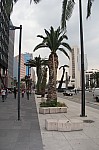 7177.jpg 7177.jpg