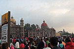 7231.jpg 7231.jpg