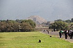 7321.jpg 7321.jpg