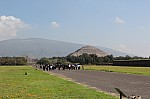 7323.jpg 7323.jpg