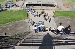 7339.jpg 7339.jpg