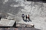 7425.jpg 7425.jpg