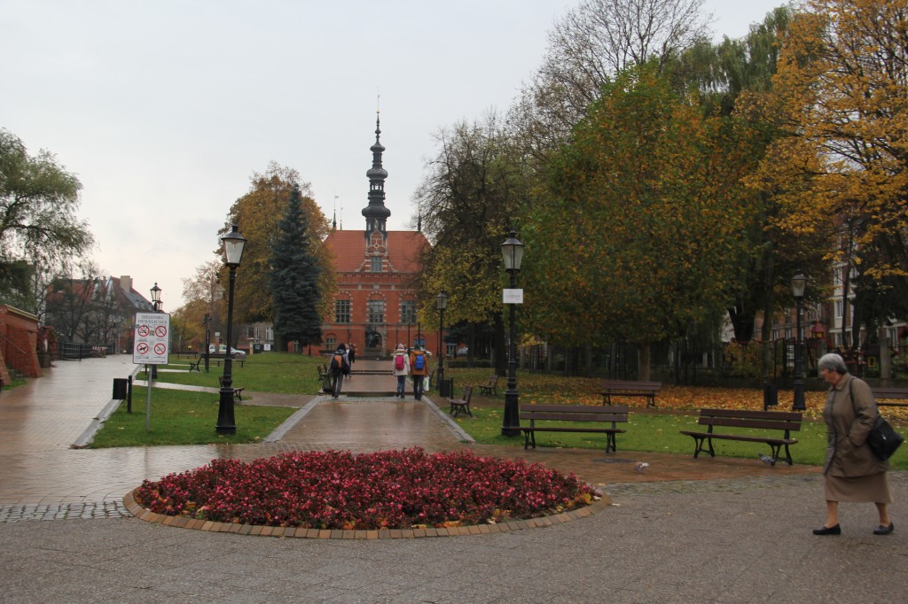 7985.jpg