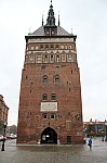 7878.jpg 7878.jpg