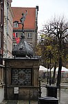 7916.jpg 7916.jpg