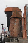 7953.jpg 7953.jpg
