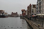 7971.jpg 7971.jpg