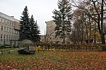 8020.jpg 8020.jpg