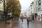 8032.jpg 8032.jpg