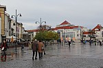 8036.jpg 8036.jpg