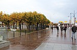 8038.jpg 8038.jpg
