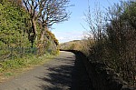 0228.jpg 0228.jpg