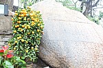3678.jpg 3678.jpg