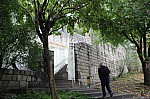 3748.jpg 3748.jpg