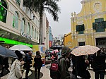 3986.jpg 3986.jpg