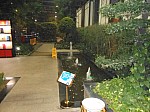 1374.jpg 1374.jpg