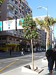 20557.jpg 20557.jpg
