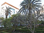 20573.jpg 20573.jpg