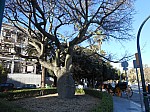 20577.jpg 20577.jpg