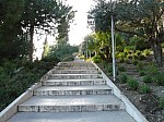 20601.jpg 20601.jpg