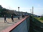 1520953.jpg 1520953.jpg
