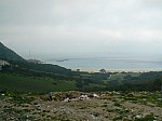1520971.jpg 1520971.jpg