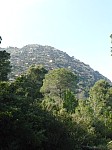1520984.jpg 1520984.jpg