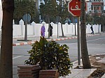 1520997.jpg 1520997.jpg