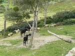 1530068.jpg 1530068.jpg