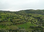 1530119.jpg 1530119.jpg