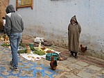 1530148.jpg 1530148.jpg