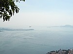 20306.jpg 20306.jpg