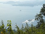 20408.jpg 20408.jpg