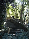 20474.jpg 20474.jpg