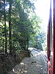 20650.jpg 20650.jpg