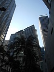 21208.jpg 21208.jpg