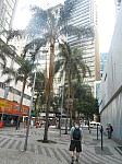 21210.jpg 21210.jpg