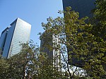21262.jpg 21262.jpg