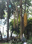 21454.jpg 21454.jpg