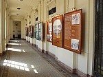 21550.jpg 21550.jpg