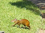 21760.jpg 21760.jpg