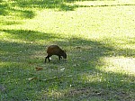 21790.jpg 21790.jpg