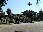 21792.jpg 21792.jpg