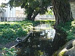 21808.jpg 21808.jpg