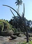 21832.jpg 21832.jpg
